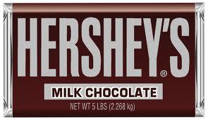 5 lb Hershey bar